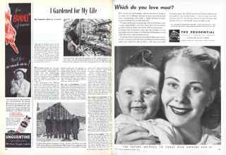 Better Homes & Gardens October 1946 Magazine Article: Page 150