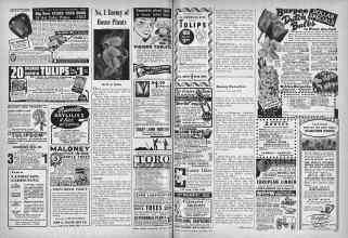 Better Homes & Gardens October 1946 Magazine Article: No. 1 Enemy of House Plants