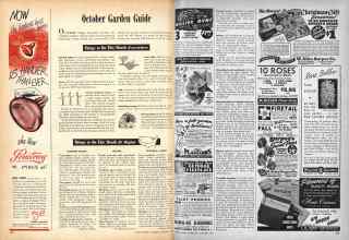 Better Homes & Gardens October 1946 Magazine Article: October Garden Guide