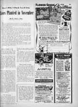 Better Homes & Gardens November 1946 Magazine Article: Roses Planted in November