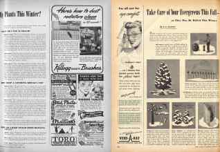 Better Homes & Gardens November 1946 Magazine Article: Page 157