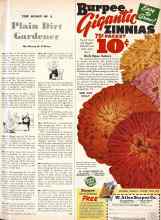 Better Homes & Gardens December 1946 Magazine Article: THE DIARY OF A Plain Dirt Gardener