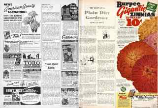 Better Homes & Gardens December 1946 Magazine Article: Page 144