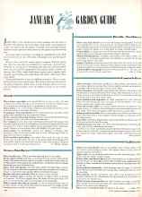 Better Homes & Gardens January 1947 Magazine Article: JANUARY GARDEN GUIDE