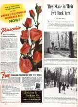 Better Homes & Gardens January 1947 Magazine Article: They Skate in Their Own Back Yard