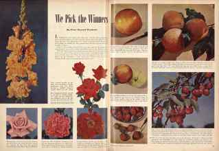 Better Homes & Gardens January 1947 Magazine Article: We Pick the Winners
