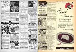 Better Homes & Gardens January 1947 Magazine Article: Page 98