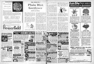 Better Homes & Gardens January 1947 Magazine Article: THE DIARY OF A Plain Dirt Gardener