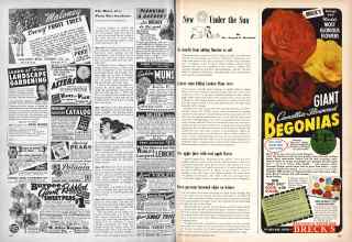 Better Homes & Gardens January 1947 Magazine Article: Page 102