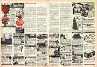 Better Homes & Gardens January 1947 Magazine Article: Page 106