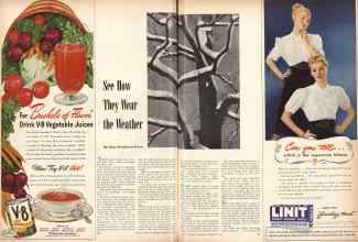 Better Homes & Gardens February 1947 Magazine Article: See How They Wear the Weather