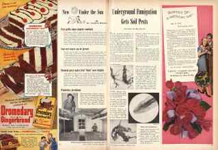 Better Homes & Gardens February 1947 Magazine Article: Page 24