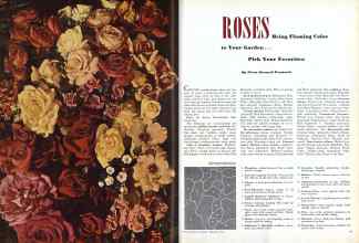 Better Homes & Gardens February 1947 Magazine Article: ROSES Bring Flaming Color