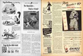Better Homes & Gardens February 1947 Magazine Article: The Dogcatcher--Fiend or Friend?