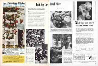 Better Homes & Gardens February 1947 Magazine Article: Fruit for the Small Place