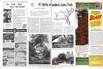 Better Homes & Gardens February 1947 Magazine Article: It's Spring on Southern Azalea Trails