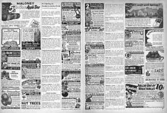 Better Homes & Gardens February 1947 Magazine Article: Page 156