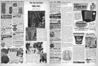 Better Homes & Gardens February 1947 Magazine Article: Page 158