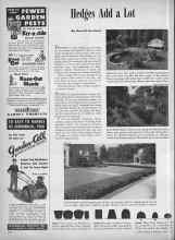 Better Homes & Gardens April 1947 Magazine Article: Hedges Add a Lot