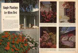 Better Homes & Gardens April 1947 Magazine Article: Simple Plantings Are Often Best