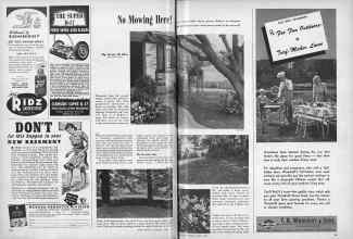 Better Homes & Gardens April 1947 Magazine Article: No Mowing Here!