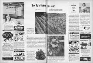 Better Homes & Gardens April 1947 Magazine Article: How Big a Garden This Year?