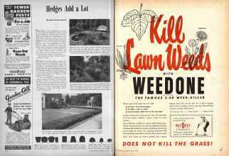 Better Homes & Gardens April 1947 Magazine Article: Page 198
