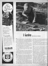 Better Homes & Gardens May 1947 Magazine Article: A Garden