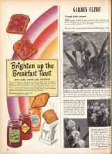 Better Homes & Gardens May 1947 Magazine Article: Tough little giants