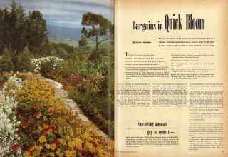 Better Homes & Gardens May 1947 Magazine Article: Bargains in Quick Bloom