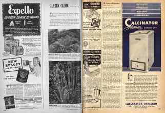 Better Homes & Gardens May 1947 Magazine Article: Page 226