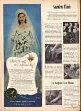Better Homes & Gardens June 1947 Magazine Article: For Gorgeous Late Blooms