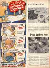 Better Homes & Gardens June 1947 Magazine Article: Frozen Raspberry Puree