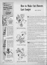 Better Homes & Gardens June 1947 Magazine Article: How to Make Cut Flowers Last Longer