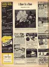 Better Homes & Gardens June 1947 Magazine Article: A Rose Is a Rose