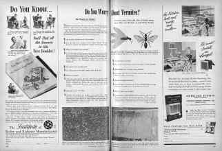 Better Homes & Gardens June 1947 Magazine Article: Do You Worry About Termites?