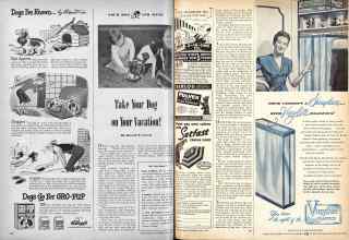 Better Homes & Gardens June 1947 Magazine Article: Take Your Dog on Your Vacation!