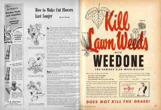 Better Homes & Gardens June 1947 Magazine Article: Page 182