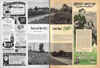 Better Homes & Gardens June 1947 Magazine Article: Roses for Our City's Front Door