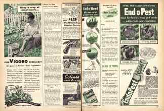 Better Homes & Gardens June 1947 Magazine Article: Page 186