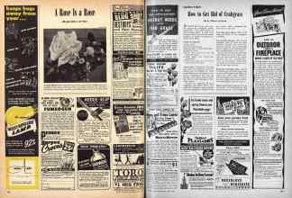 Better Homes & Gardens June 1947 Magazine Article: Page 196