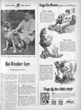 Better Homes & Gardens July 1947 Magazine Article: Hot-Weather Care