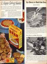 Better Homes & Gardens July 1947 Magazine Article: Dye Flowers to Match Your Room