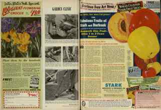 Better Homes & Gardens September 1947 Magazine Article: Page 220