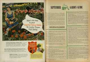 Better Homes & Gardens September 1947 Magazine Article: Page 222