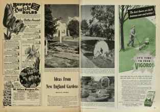 Better Homes & Gardens September 1947 Magazine Article: Ideas From New England Gardens