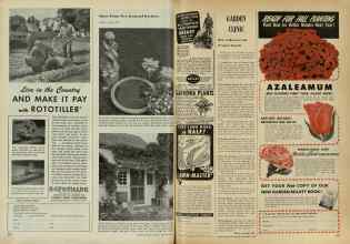 Better Homes & Gardens September 1947 Magazine Article: Page 226