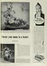 Better Homes & Gardens October 1947 Magazine Article: Cluster your mums in a basket