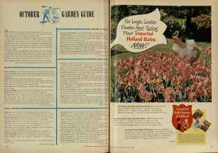 Better Homes & Gardens October 1947 Magazine Article: Page 214