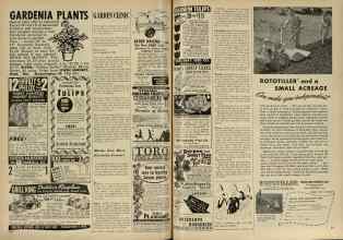 Better Homes & Gardens October 1947 Magazine Article: Birds, Too, Have Favorite Fruits!